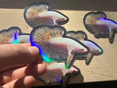 Vinyl Betta Stickers