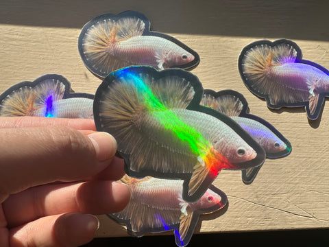 Vinyl Betta Stickers