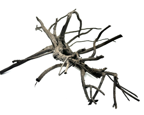 Black Forest Spider Wood